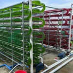Polycarbonate Tube for Algae Cultivation